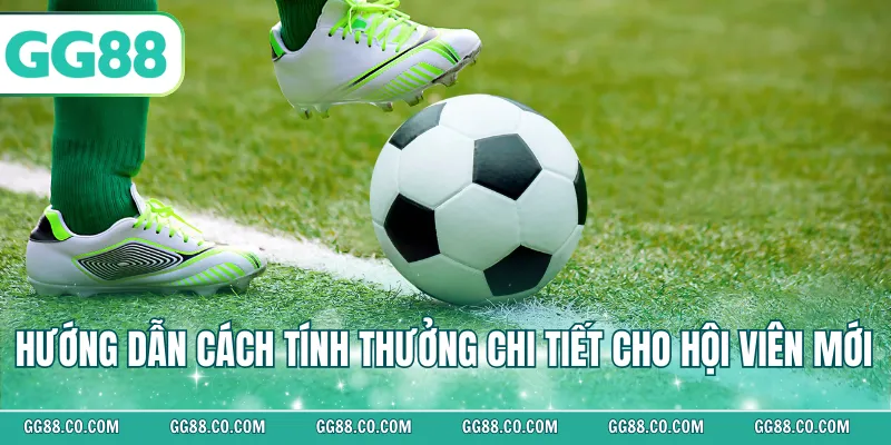 Hướng dẫn cách tính thưởng chi tiết cho hội viên mới